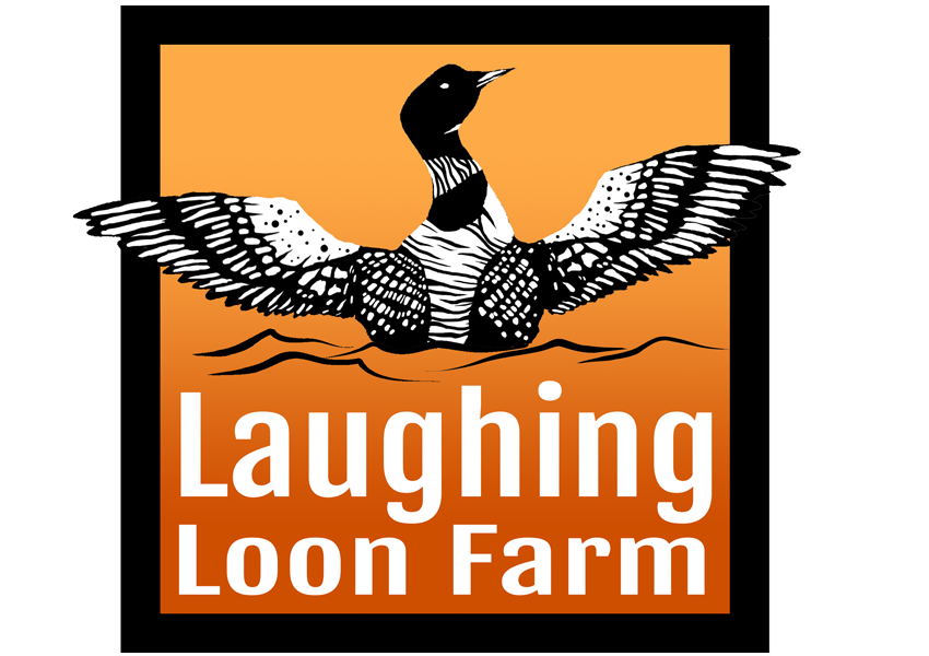 Laughing Loon Fjalla 850x600